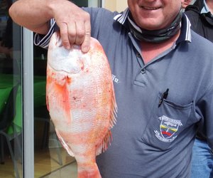 Omgekrapte see - Goeie vangstes